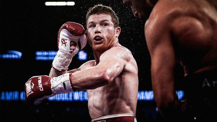is another undisputed title on the cards for canelo?